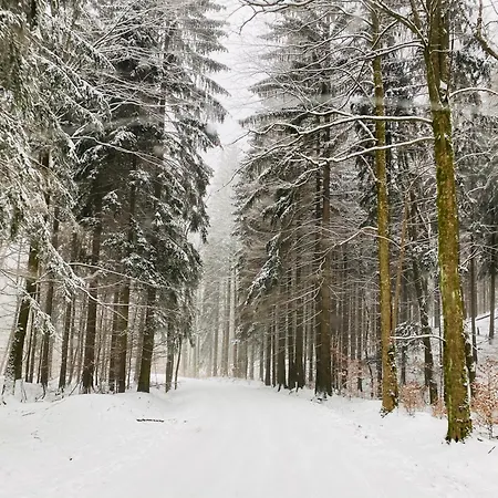 Mezi Stromy 165 Сasa de vacaciones Česká Kamenice